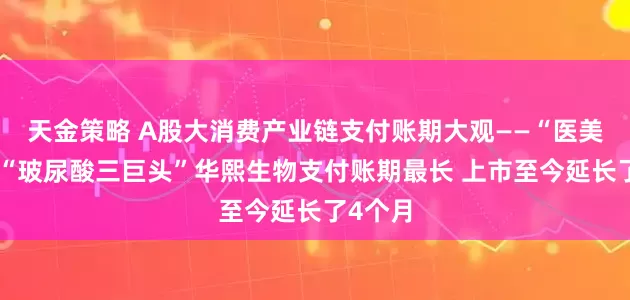 天金策略 A股大消费产业链支付账期大观——“医美”篇：“玻尿酸三巨头”华熙生物支付账期最长 上市至今延长了4个月